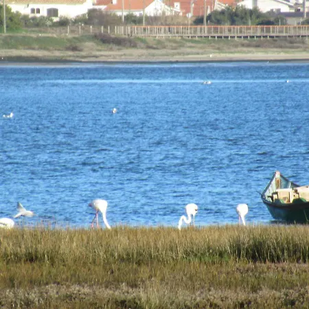 Beatiful View Holiday home Aveiro